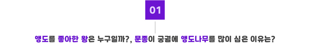 포인트01_문종 앵도나무.jpg