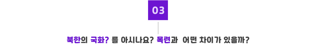 포인트03_북한의 국화 함박꽃.jpg