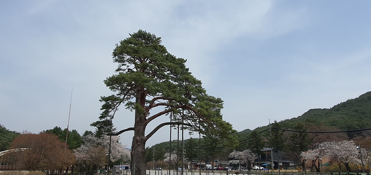 20250417_114324.jpg